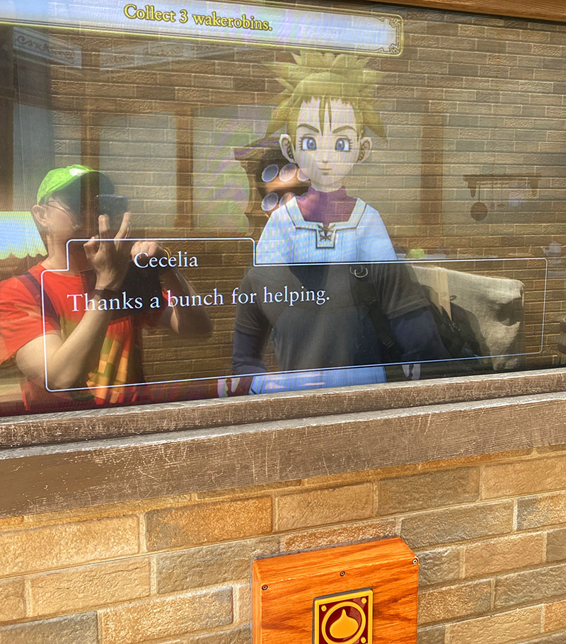 Interaction with NPC on Dragon Quest Island