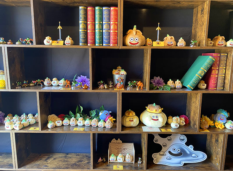 The store at Dragon Quest Island