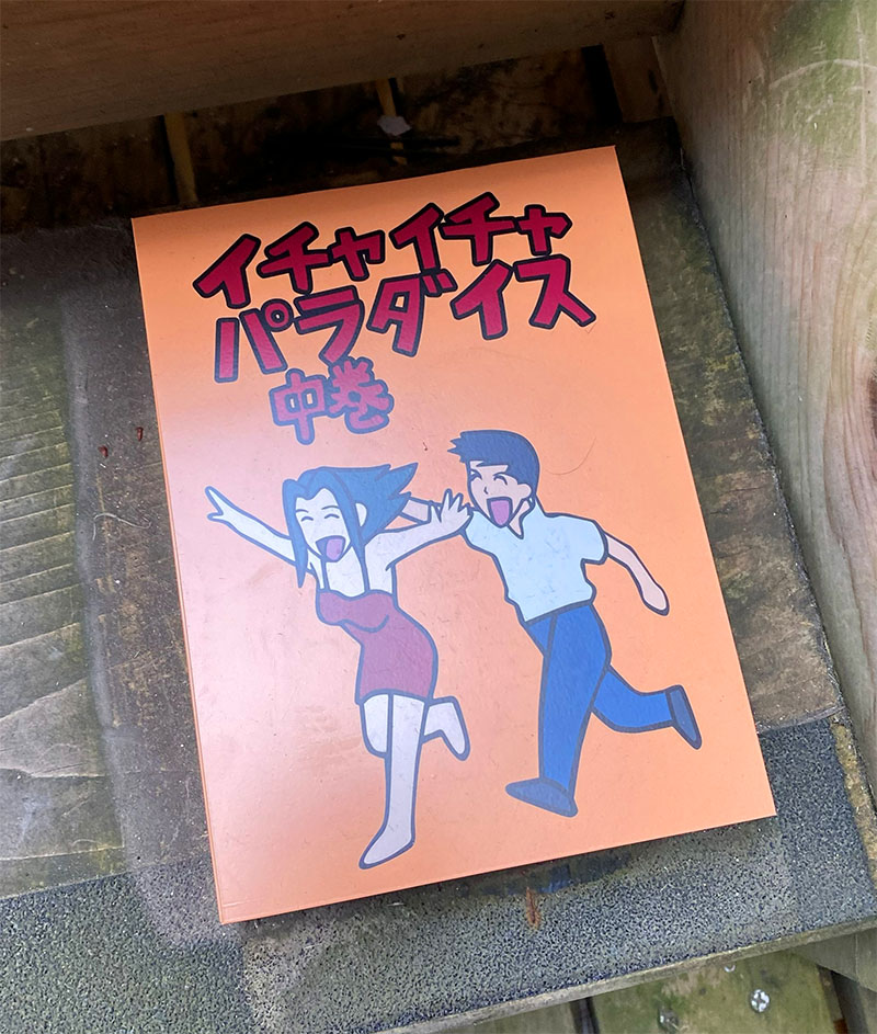 The book Icha Icha Paradise at Naruto and Boruto Ninja Village